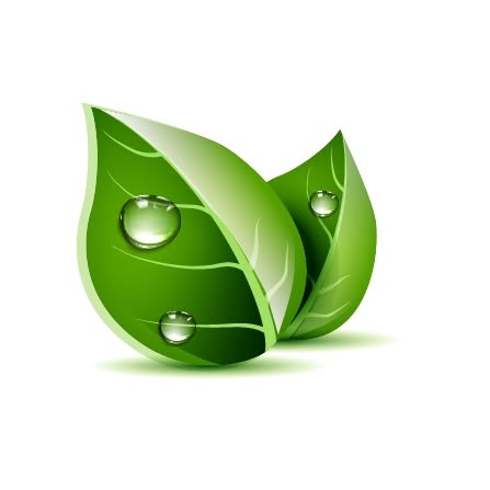 Organica Global Brands